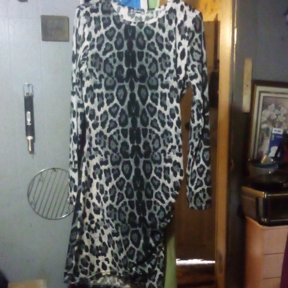 Elegant Long Sleeve Leopard Print Dress
